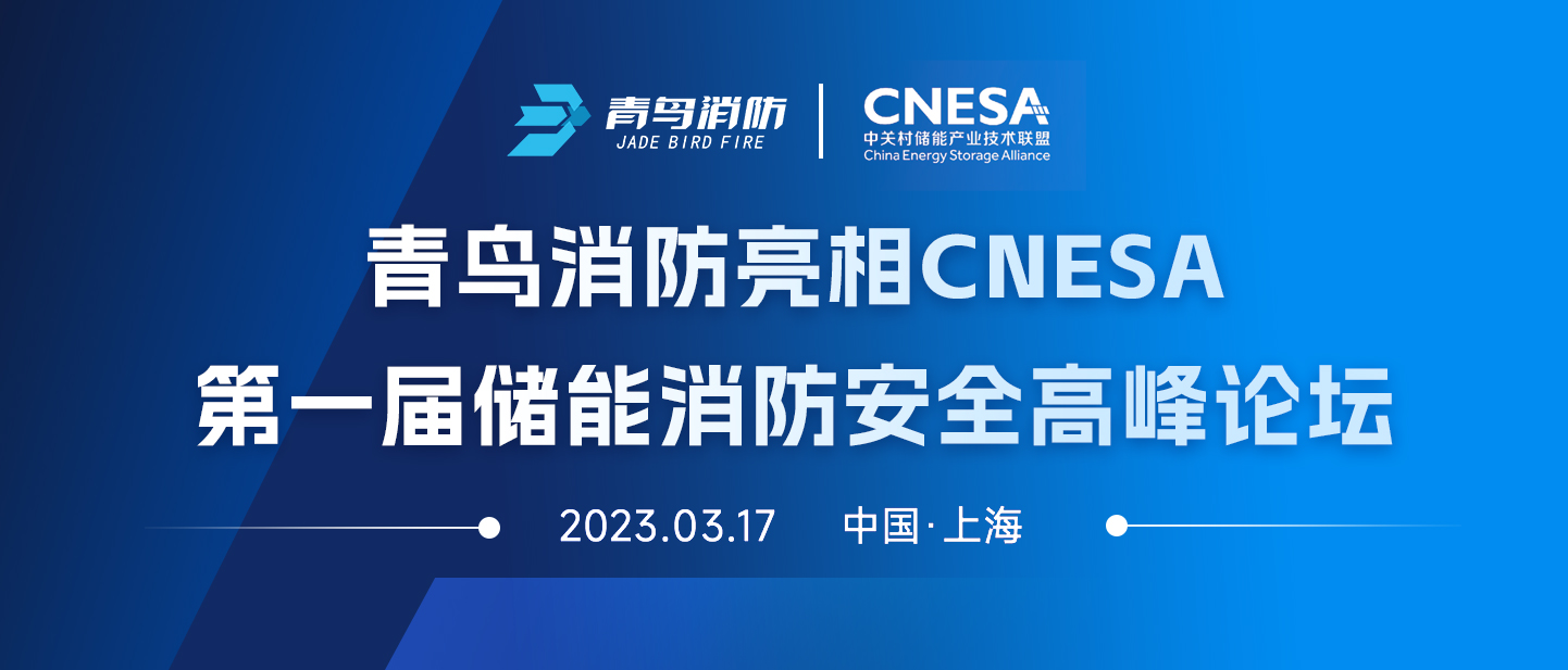 bevictor伟德亮相CNESA第一届储能消防安全顶峰论坛