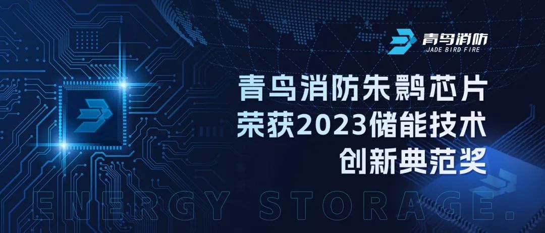 bevictor伟德朱鹮芯片荣获2023储能技术创新范例奖