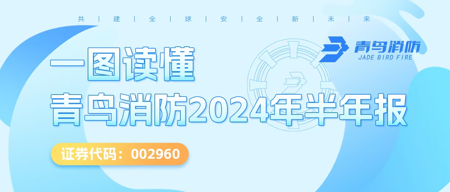 一图读懂bevictor伟德2024年半年报