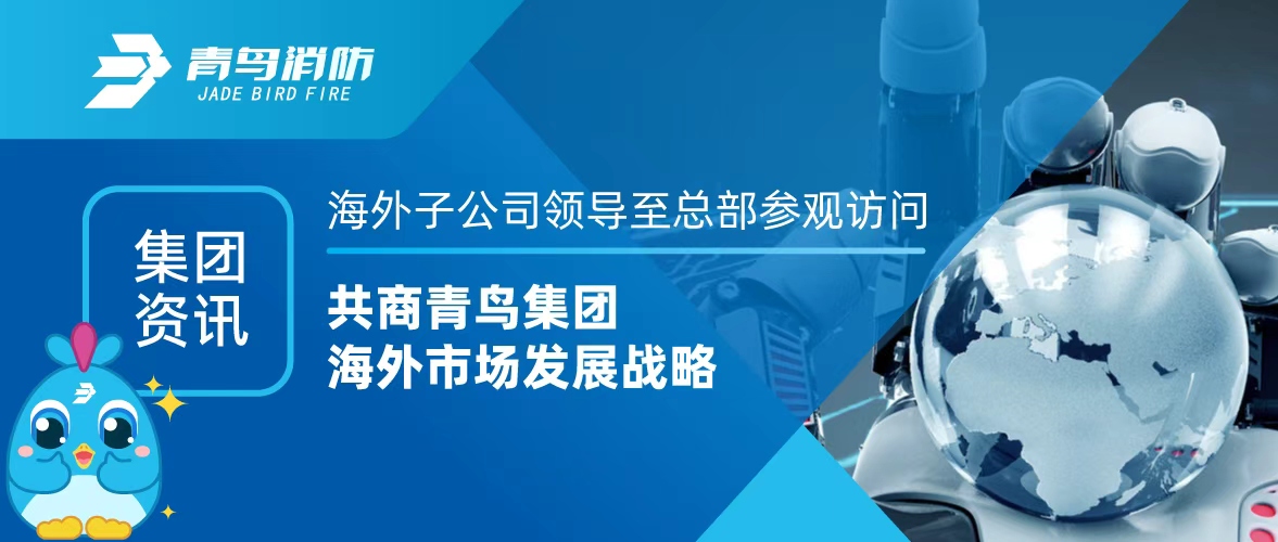 集团资讯 | 海表子公司辅导至总部参观接见，共商青鸟集团海表市场发展战术